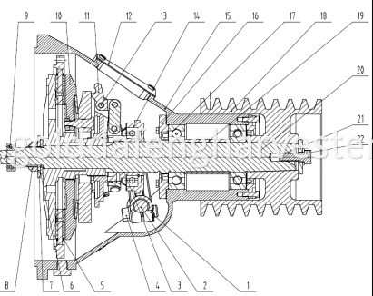 main clutch structure